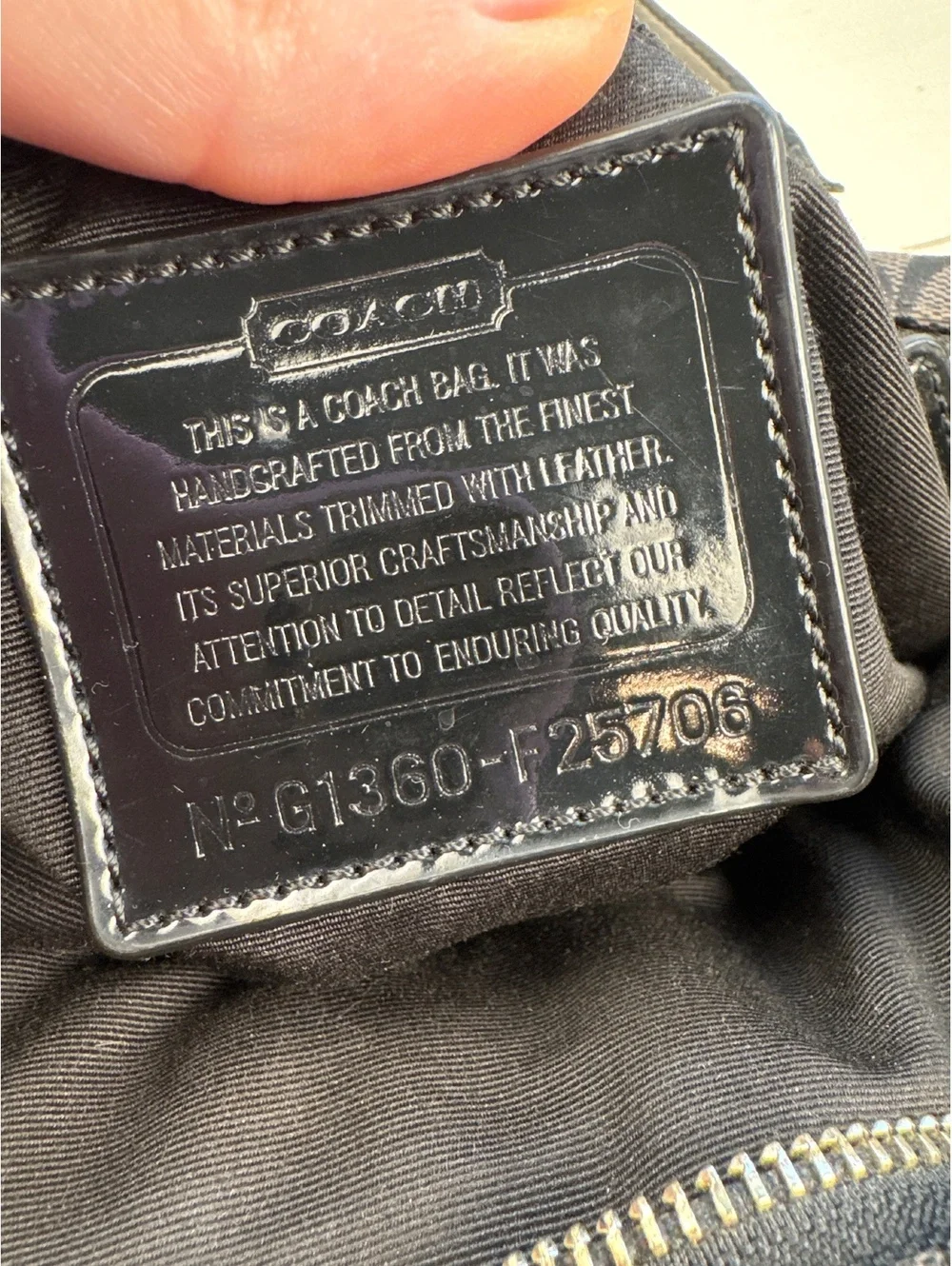 Y2K coach python stripe bag